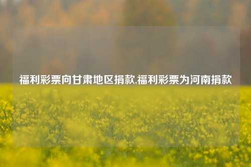 福利彩票向甘肃地区捐款,福利彩票为河南捐款