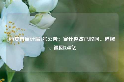 西安市审计局1号公告：审计整改已收回、追缴、退回3.68亿