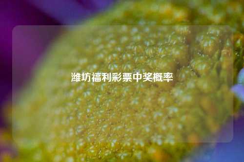 潍坊福利彩票中奖概率