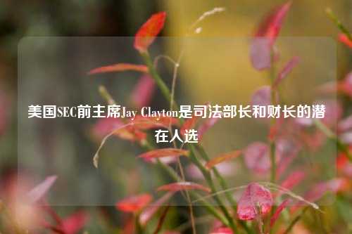 美国SEC前主席Jay Clayton是司法部长和财长的潜在人选