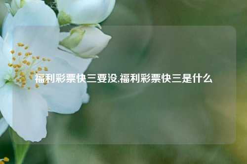 福利彩票快三要没,福利彩票快三是什么