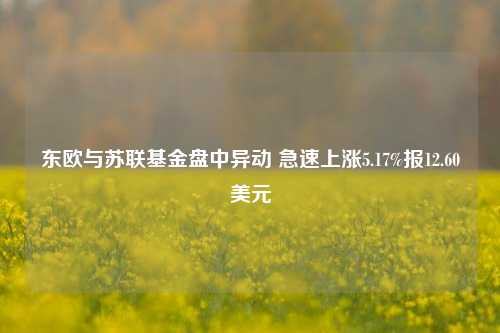 东欧与苏联基金盘中异动 急速上涨5.17%报12.60美元