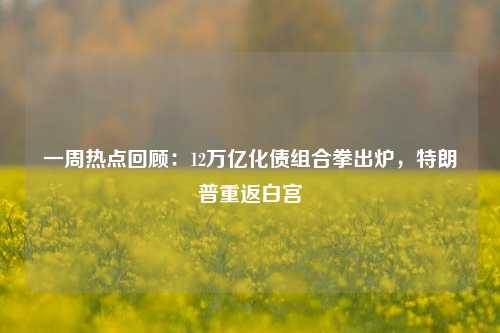 一周热点回顾：12万亿化债组合拳出炉，特朗普重返白宫