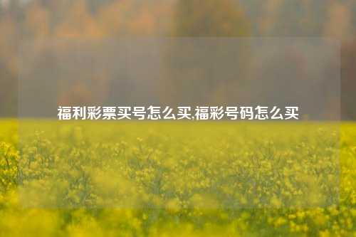 福利彩票买号怎么买,福彩号码怎么买