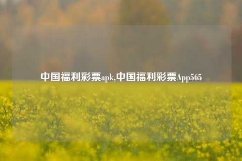 中国福利彩票apk,中国福利彩票App565