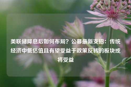 美联储降息后如何布局？公募最新支招：传统经济中低估值且有望受益于政策反转的板块或将受益