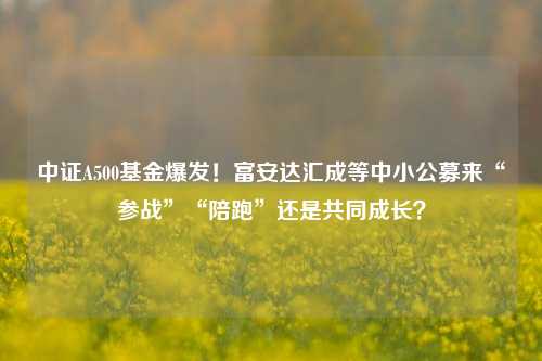 中证A500基金爆发！富安达汇成等中小公募来“参战”“陪跑”还是共同成长？