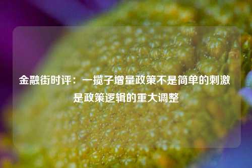 金融街时评：一揽子增量政策不是简单的刺激 是政策逻辑的重大调整