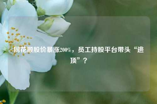 同花顺股价暴涨200%，员工持股平台带头“逃顶”？