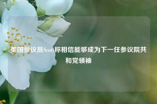 美国参议员Scott称相信能够成为下一任参议院共和党领袖