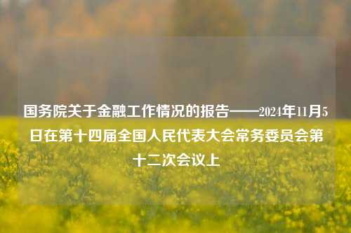 国务院关于金融工作情况的报告——2024年11月5日在第十四届全国人民代表大会常务委员会第十二次会议上