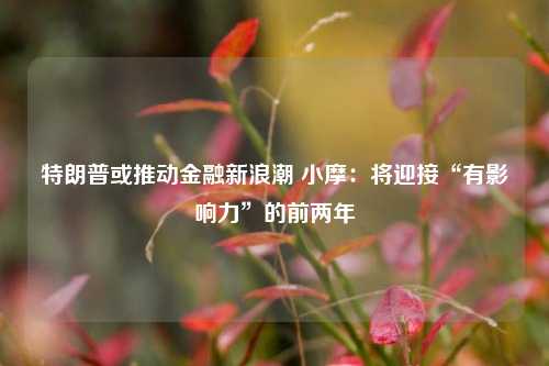 特朗普或推动金融新浪潮 小摩：将迎接“有影响力”的前两年