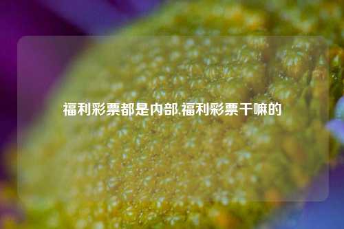 福利彩票都是内部,福利彩票干嘛的