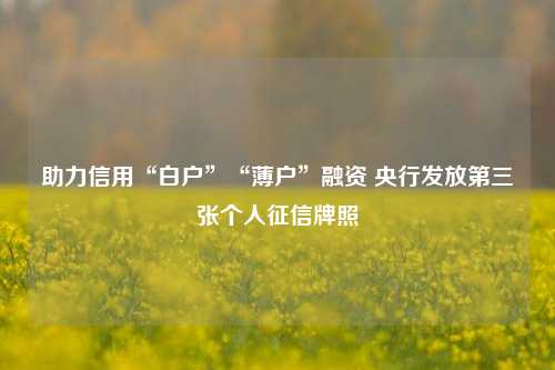 助力信用“白户”“薄户”融资 央行发放第三张个人征信牌照