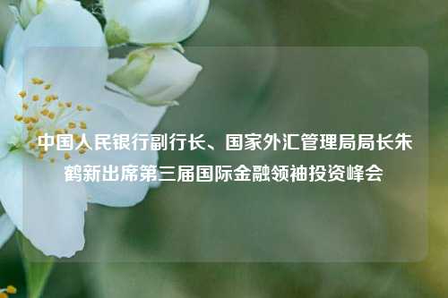 中国人民银行副行长、国家外汇管理局局长朱鹤新出席第三届国际金融领袖投资峰会