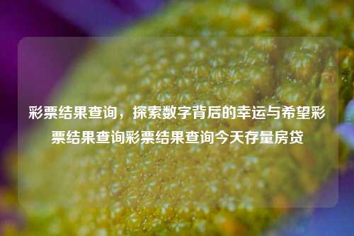 彩票结果查询，探索数字背后的幸运与希望彩票结果查询彩票结果查询今天存量房贷