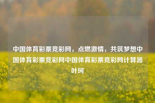 中国体育彩票竞彩网，点燃激情，共筑梦想中国体育彩票竞彩网中国体育彩票竞彩网计算器叶珂