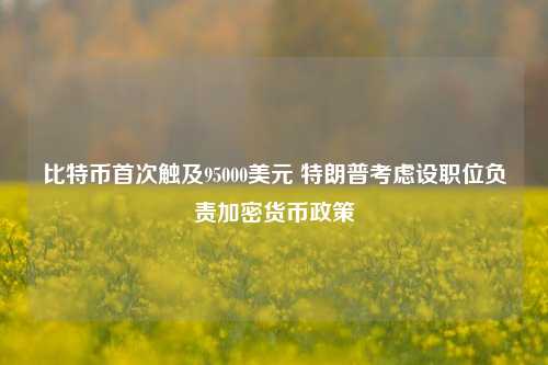 比特币首次触及95000美元 特朗普考虑设职位负责加密货币政策