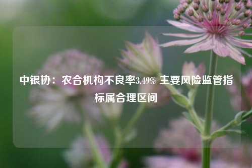 中银协：农合机构不良率3.49% 主要风险监管指标属合理区间