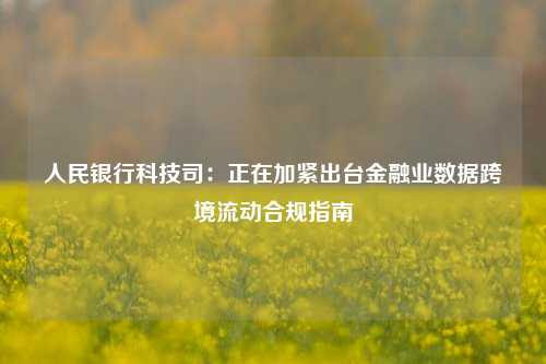 人民银行科技司：正在加紧出台金融业数据跨境流动合规指南