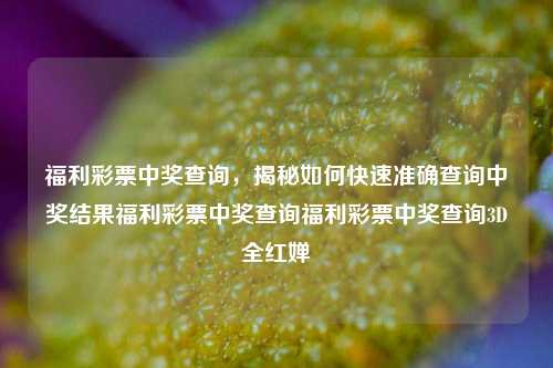 福利彩票中奖查询，揭秘如何快速准确查询中奖结果福利彩票中奖查询福利彩票中奖查询3D全红婵