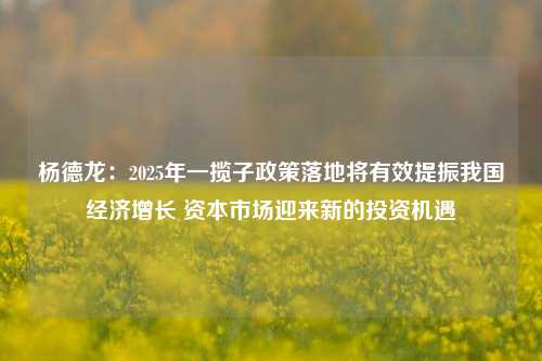 杨德龙：2025年一揽子政策落地将有效提振我国经济增长 资本市场迎来新的投资机遇