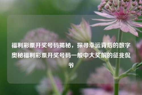 福利彩票开奖号码揭秘，探寻幸运背后的数字奥秘福利彩票开奖号码一般中大奖前的征兆侃爷