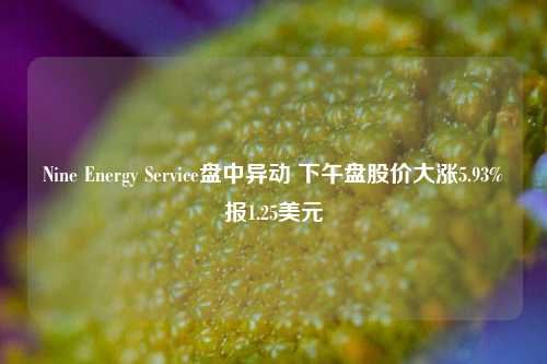 Nine Energy Service盘中异动 下午盘股价大涨5.93%报1.25美元