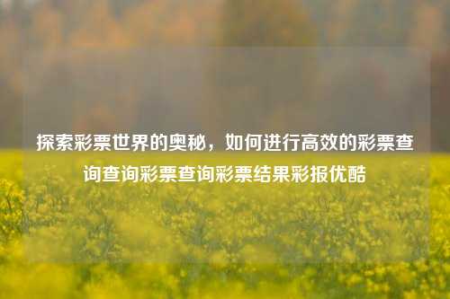 探索彩票世界的奥秘，如何进行高效的彩票查询查询彩票查询彩票结果彩报优酷