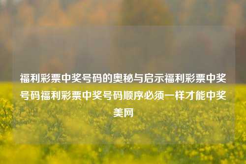 福利彩票中奖号码的奥秘与启示福利彩票中奖号码福利彩票中奖号码顺序必须一样才能中奖美网