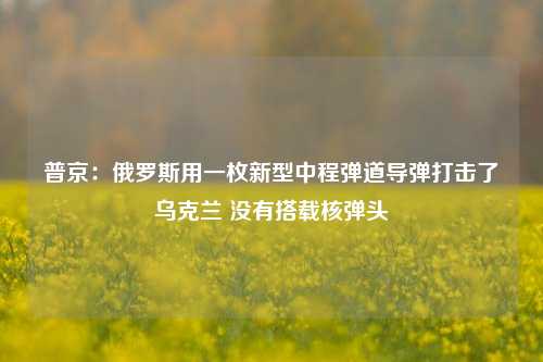 普京：俄罗斯用一枚新型中程弹道导弹打击了乌克兰 没有搭载核弹头