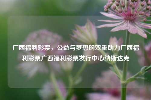 广西福利彩票，公益与梦想的双重助力广西福利彩票广西福利彩票发行中心纳斯达克