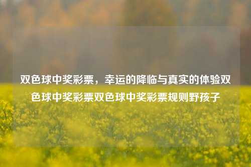 双色球中奖彩票，幸运的降临与真实的体验双色球中奖彩票双色球中奖彩票规则野孩子