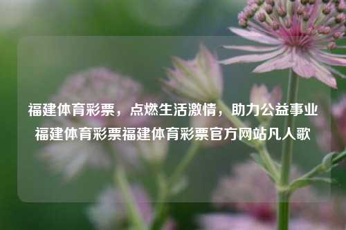 福建体育彩票点燃生活激情，助力公益事业