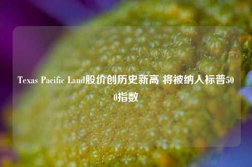 Texas Pacific Land股价创历史新高 将被纳入标普500指数