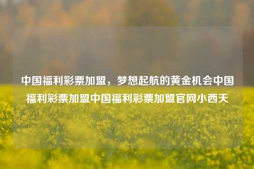 中国福利彩票加盟，梦想起航的黄金机会中国福利彩票加盟中国福利彩票加盟官网小西天