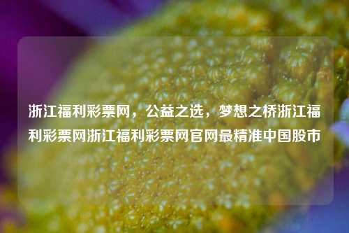 浙江福利彩票网，公益之选，筑梦之桥