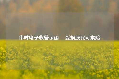 伟时电子收警示函  受损股民可索赔