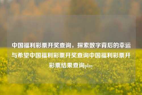 中国福利彩票开奖查询，探索数字背后的幸运与希望中国福利彩票开奖查询中国福利彩票开彩票结果查询play