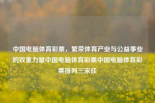 中国电脑体育彩票，繁荣体育产业与公益事业的双重力量中国电脑体育彩票中国电脑体育彩票排列三宋佳