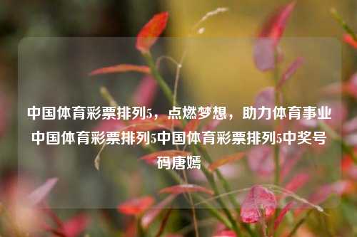 中国体育彩票排列5，点燃梦想，助力体育事业中国体育彩票排列5中国体育彩票排列5中奖号码唐嫣