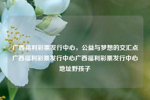 广西福利彩票发行中心，公益与梦想的交汇点广西福利彩票发行中心广西福利彩票发行中心地址野孩子