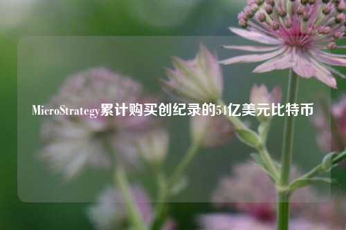 MicroStrategy累计购买创纪录的54亿美元比特币