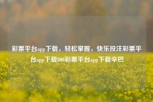 彩票平台app下载，轻松掌握，快乐投注彩票平台app下载800彩票平台app下载辛巴