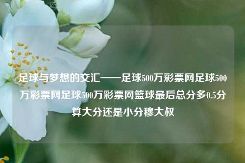 足球与梦想的交汇——足球500万彩票网足球500万彩票网足球500万彩票网篮球最后总分多0.5分算大分还是小分穆大叔