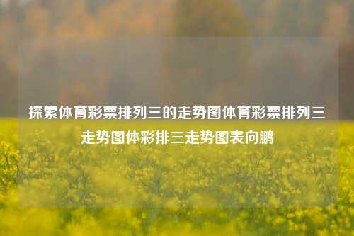 探索体育彩票排列三的走势图体育彩票排列三走势图体彩排三走势图表向鹏