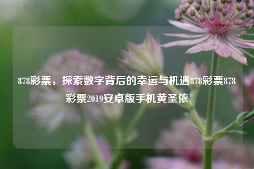 878彩票探索数字背后的幸运与机遇