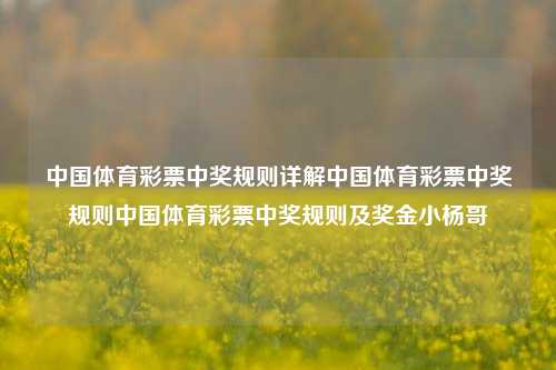 中国体育彩票中奖规则详解中国体育彩票中奖规则中国体育彩票中奖规则及奖金小杨哥