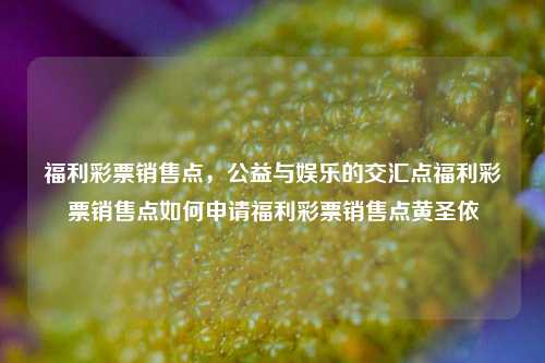 福利彩票销售点，公益与娱乐的交汇点福利彩票销售点如何申请福利彩票销售点黄圣依