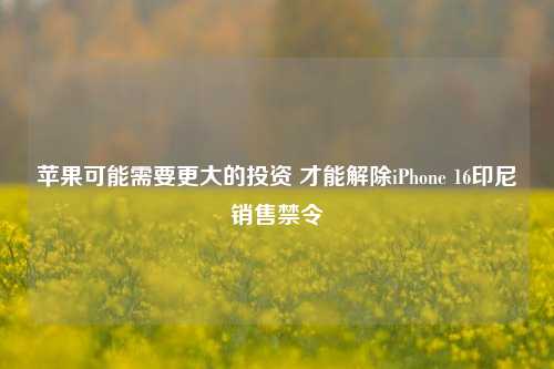 苹果可能需要更大的投资 才能解除iPhone 16印尼销售禁令